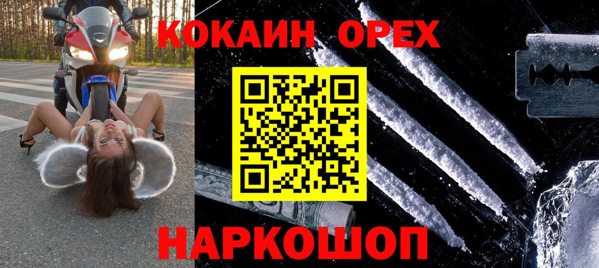 Калининград  COCAIN Fish Scale  COCAIN  Вход с VPN 